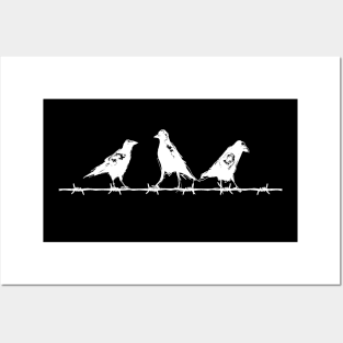 Crows on a Barbed Wire Posters and Art